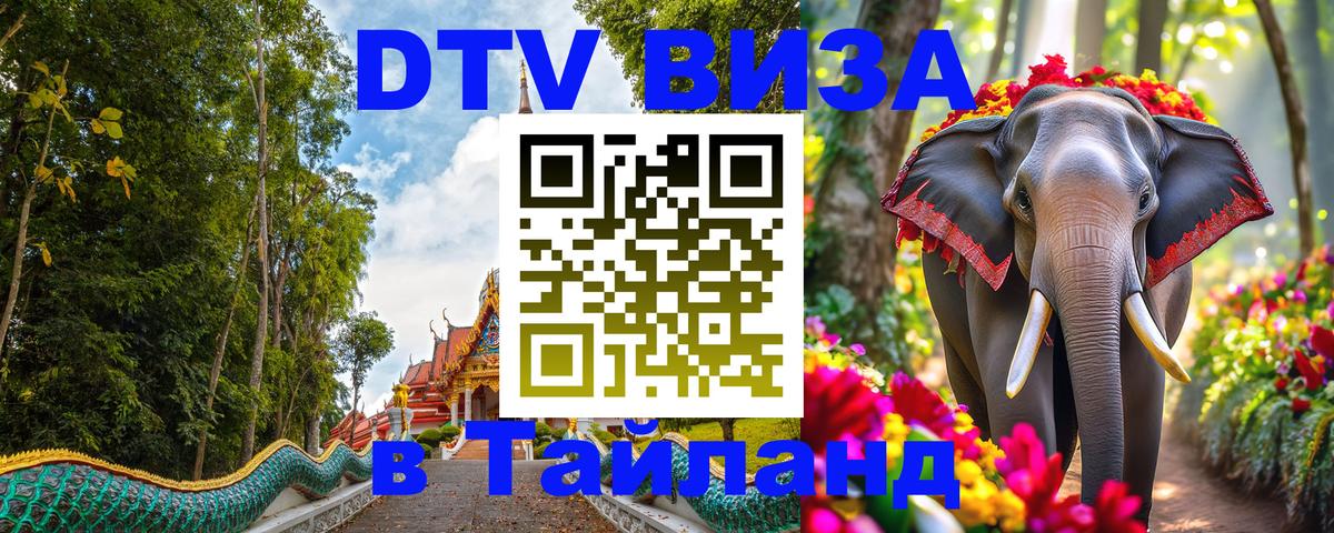 Оформление DTV визы под ключ: стоимость и тарифы, только загранпаспорт - 